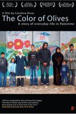 Watch The Color of Olives Vumoo
