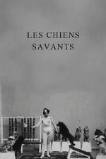 Watch Les chiens savants Vumoo