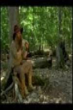 Watch The Goblin and the Woodsman Vumoo