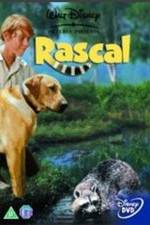 Watch Rascal Vumoo