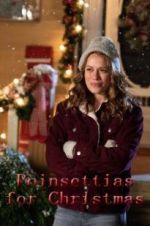Watch Poinsettias for Christmas Vumoo