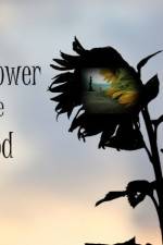 Watch The Sunflower and the Sun God Vumoo
