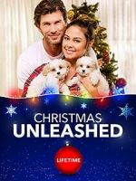 Watch A Doggone Christmas Vumoo