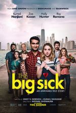 Watch The Big Sick Vumoo