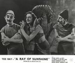 Watch A Ray of Sunshine: An Irresponsible Medley of Song and Dance Vumoo