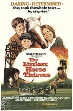 Watch The Littlest Horse Thieves Vumoo