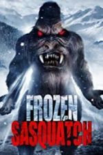Watch Frozen Sasquatch Vumoo