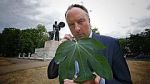 Watch Fig Leaf: The Biggest Cover-Up in History Vumoo