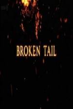 Watch A Tiger Called Broken Tail Vumoo