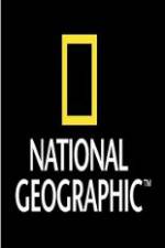 Watch National Geographic Wild Sharks Of Pirate Island Vumoo