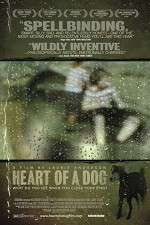 Watch Heart of a Dog Vumoo