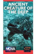 Watch Ancient Creature Of The Deep Vumoo