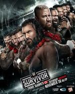 Watch WWE Survivor Series WarGames (TV Special 2024) Vumoo