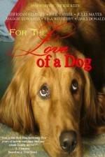 Watch For the Love of a Dog Vumoo
