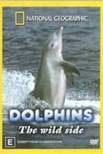 Watch Dolphins: The Wild Side Vumoo