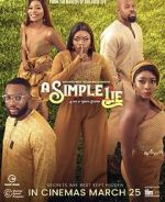 Watch A Simple Lie Vumoo
