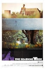 Watch The Learning Tree Vumoo