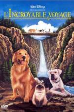 Watch Homeward Bound: The Incredible Journey Vumoo