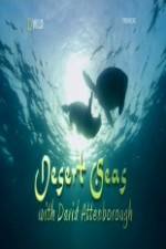 Watch National Geographic Desert Seas Vumoo