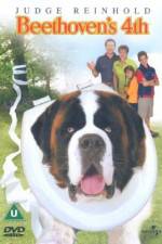 Watch Beethoven's 4th Vumoo