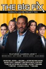 Watch The Big Fix Vumoo