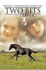 Watch Two Bits and Pepper Vumoo