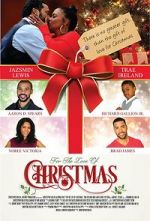 Watch For the Love of Christmas Vumoo