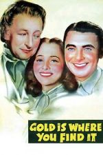Watch Gold Is Where You Find It Vumoo