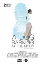 Watch A Dog Barking at the Moon Vumoo