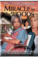 Watch Miracle in the Woods Vumoo