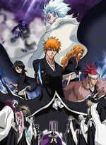 Watch Bleach the Movie 2: The Diamond Dust Rebellion Vumoo