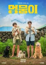 Watch My Heart Puppy Vumoo