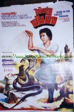 Watch Snake in the Eagle's Shadow II Vumoo