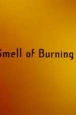 Watch The Smell of Burning Ants Vumoo
