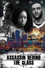 Watch Assassin Behind the Glass Vumoo