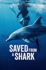 Watch Saved from a Shark Vumoo