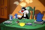 Watch The Last Hungry Cat Vumoo