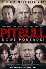 Watch Pitbull. New orders Vumoo