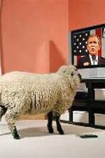 Watch Educating The Sheeple Vumoo