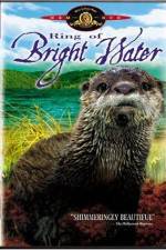 Watch Ring of Bright Water Vumoo