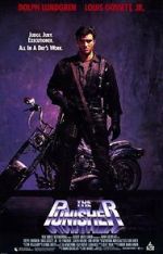 Watch The Punisher Vumoo