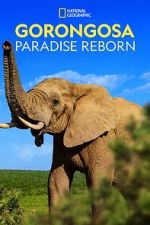 Watch Gorongosa: Paradise Reborn (Short 2022) Vumoo