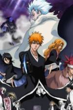 Watch Gekijô ban Burîchi: Za Daiamondo dasuto riberion - Mô hitotsu no hyôrinmaru Vumoo