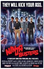 Watch Ninja Busters Vumoo