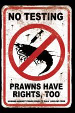 Watch Wikus and Charlize Vumoo