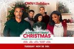 Watch A Chestnut Family Christmas Vumoo