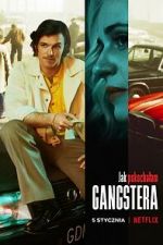 Watch How I Fell in Love with a Gangster Vumoo