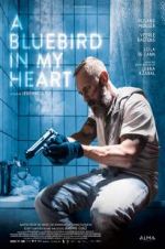 Watch A Bluebird in My Heart Vumoo