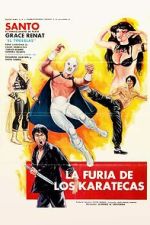 Watch The Fury of the Karate Experts Vumoo
