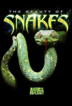 Watch Beauty of Snakes Vumoo
